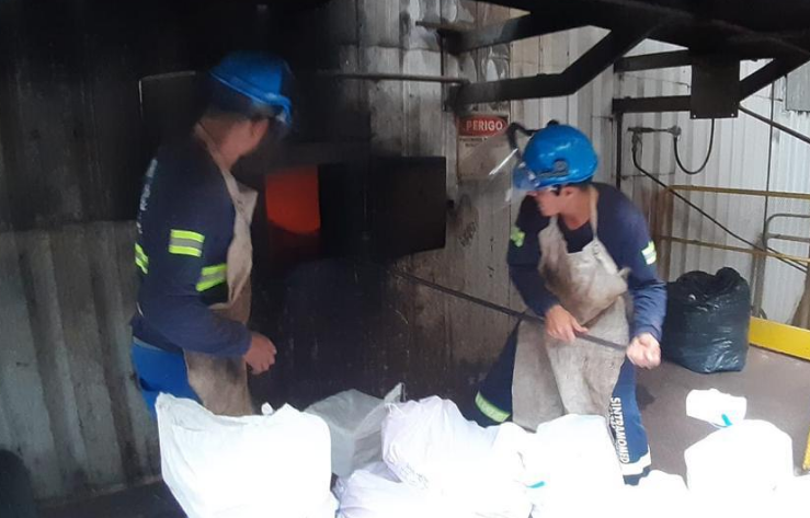 PF incinera cerca de uma tonelada de entorpecentes PF incinera cerca de uma tonelada de entorpecentes