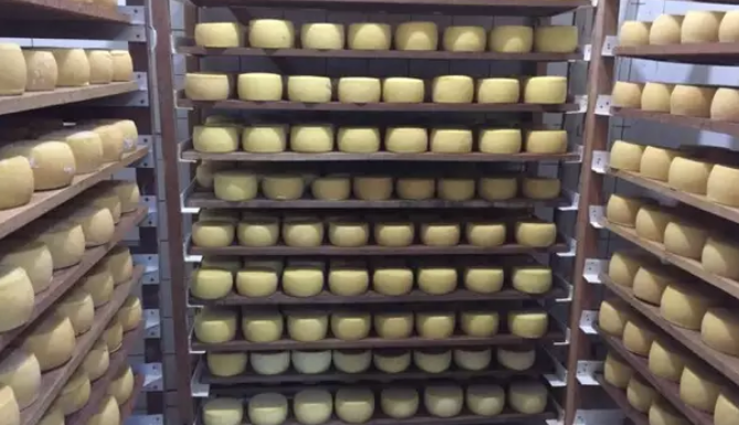 Com 4 toneladas de queijo, Rochedinho é opção de bate e volta Com 4 toneladas de queijo, Rochedinho é opção de bate e volta