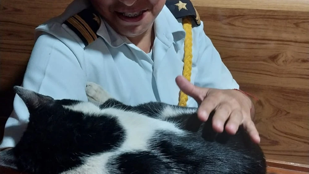 Barlo, el tripulante gatuno que navegó a bordo del Cañonero Paraguay Barlo, el tripulante gatuno que navegó a bordo del Cañonero Paraguay