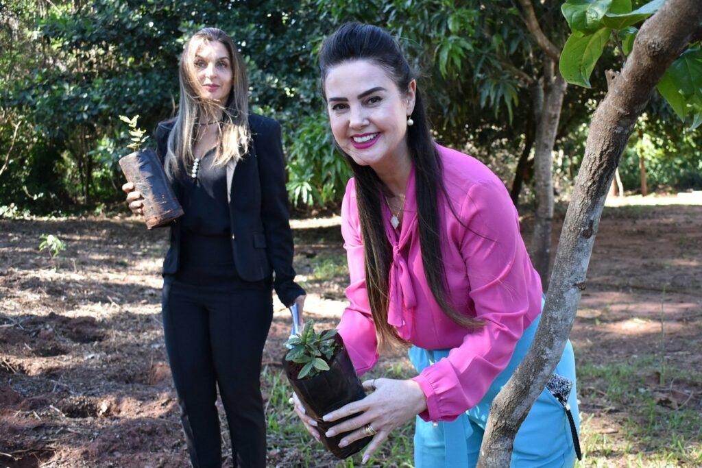 Assembleia Legislativa celebra Semana do Meio Ambiente com plantio de mudas de guavira Assembleia Legislativa celebra Semana do Meio Ambiente com plantio de mudas de guavira