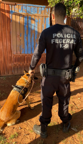 PF atua contra o crime de moeda falsa PF atua contra o crime de moeda falsa