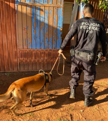 PF atua contra o crime de moeda falsa PF atua contra o crime de moeda falsa