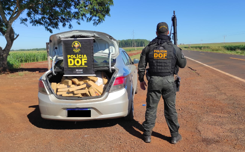 Veículo com maconha que seguia para São Paulo é apreendido pelo DOF Veículo com maconha que seguia para São Paulo é apreendido pelo DOF