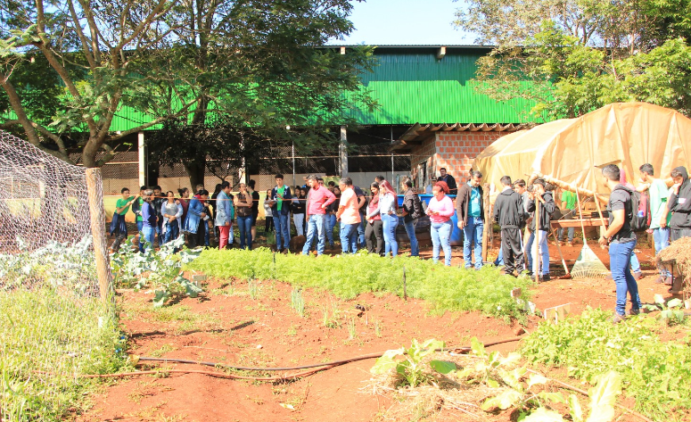 Itamarati: Horta na escola, uma experiência que fomenta práticas inovadoras Itamarati: Horta na escola, uma experiência que fomenta práticas inovadoras