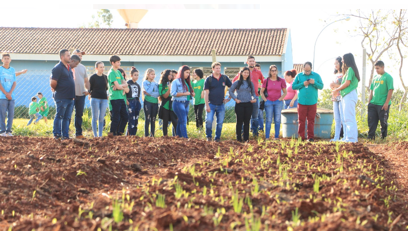 Itamarati: Horta na escola, uma experiência que fomenta práticas inovadoras Itamarati: Horta na escola, uma experiência que fomenta práticas inovadoras