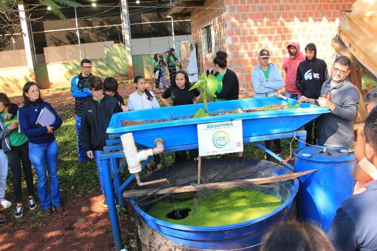 Itamarati: Horta na escola, uma experiência que fomenta práticas inovadoras Itamarati: Horta na escola, uma experiência que fomenta práticas inovadoras