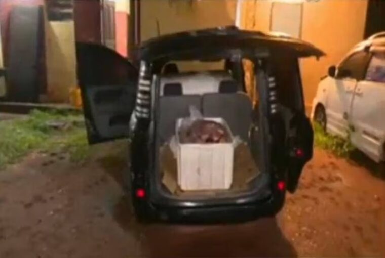 Incautan 300 kilos de supuesta carne de caballo en Luque