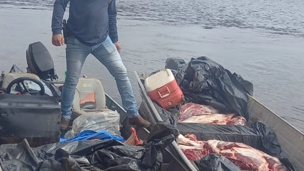 Incautan más de 1.000 kilos de carne clandestina