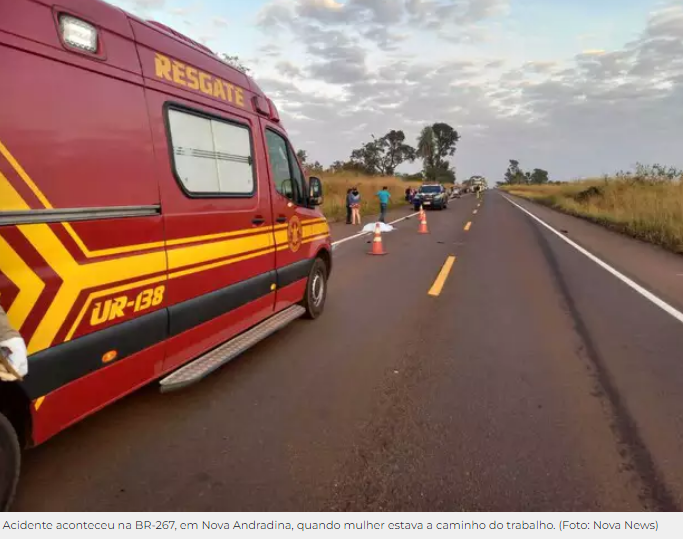 Motociclista de apenas 22 anos atropela anta e morre na BR-267 Motociclista de apenas 22 anos atropela anta e morre na BR-267