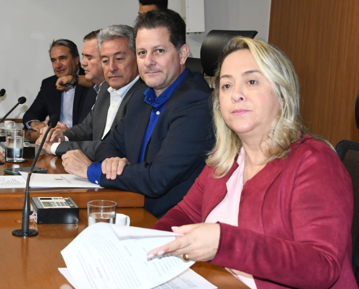Lia Nogueira pede o recapeamento da MS-141 entre Ivinhema e Naviraí Lia Nogueira pede o recapeamento da MS-141 entre Ivinhema e Naviraí