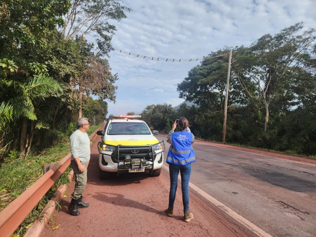 Dnit vai derrubar milhares de árvores ao longo de rodovia no meio do Pantanal