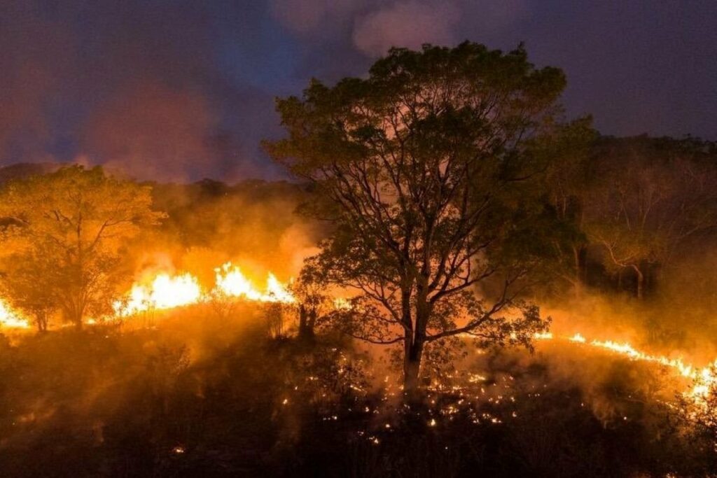 Agosto Cinza: Mês dedicado à prevenção e combate a incêndios Agosto Cinza: Mês dedicado à prevenção e combate a incêndios