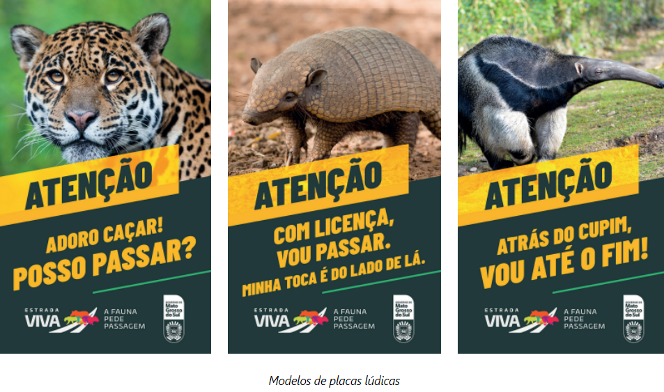 “Estrada Viva” amplia ações em rodovias para reduzir acidentes com animais silvestres “Estrada Viva” amplia ações em rodovias para reduzir acidentes com animais silvestres