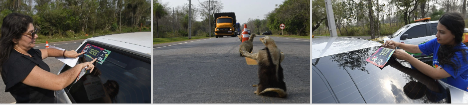 Estrada Viva leva animais empalhados para a pista em ação de conscientização no Festival de Inverno