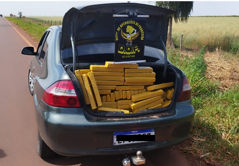 Cinco pessoas são presas pelo DOF com mais de 370 quilos de maconha Cinco pessoas são presas pelo DOF com mais de 370 quilos de maconha