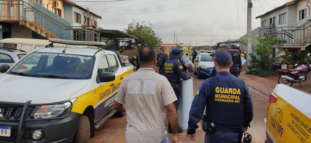 A pedido também de Lia Nogueira, Defesa Civil envia equipe para avaliar danos em Dourados A pedido também de Lia Nogueira, Defesa Civil envia equipe para avaliar danos em Dourados