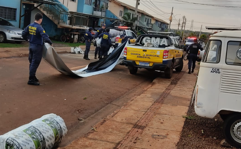 A pedido também de Lia Nogueira, Defesa Civil envia equipe para avaliar danos em Dourados A pedido também de Lia Nogueira, Defesa Civil envia equipe para avaliar danos em Dourados