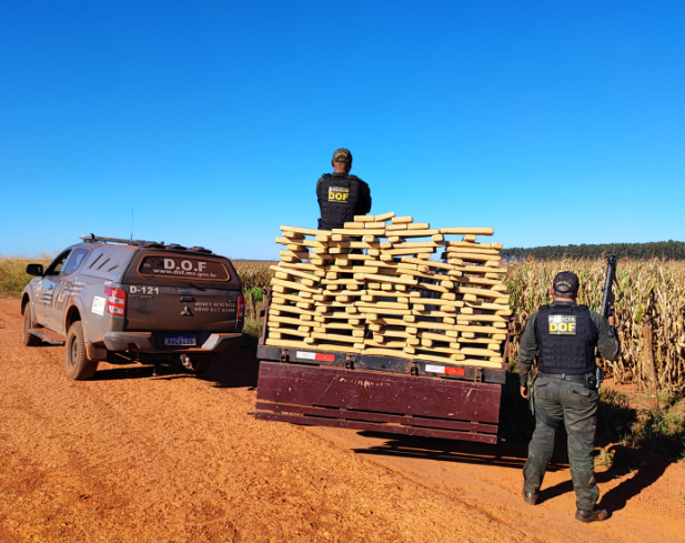 Homem que seguia com mais de 200 quilos de maconha para Campo Grande é preso pelo DOF Homem que seguia com mais de 200 quilos de maconha para Campo Grande é preso pelo DOF