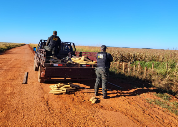 Homem que seguia com mais de 200 quilos de maconha para Campo Grande é preso pelo DOF Homem que seguia com mais de 200 quilos de maconha para Campo Grande é preso pelo DOF