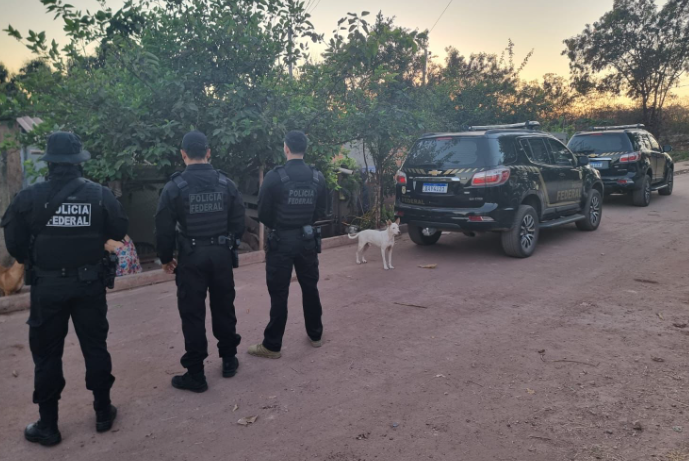 PF combate a caça ilegal de onça-pintada no Pantanal