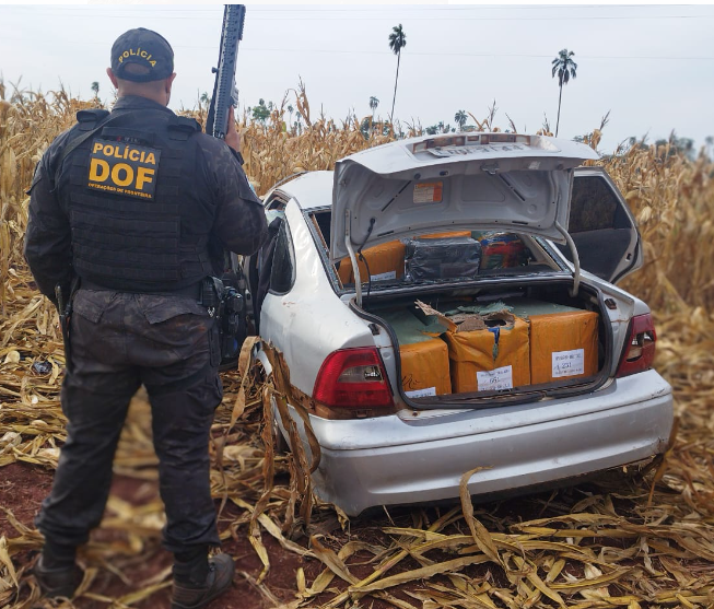 Veículo com mercadorias ilegais capota às margens da MS-379 e é apreendido pelo DOF
