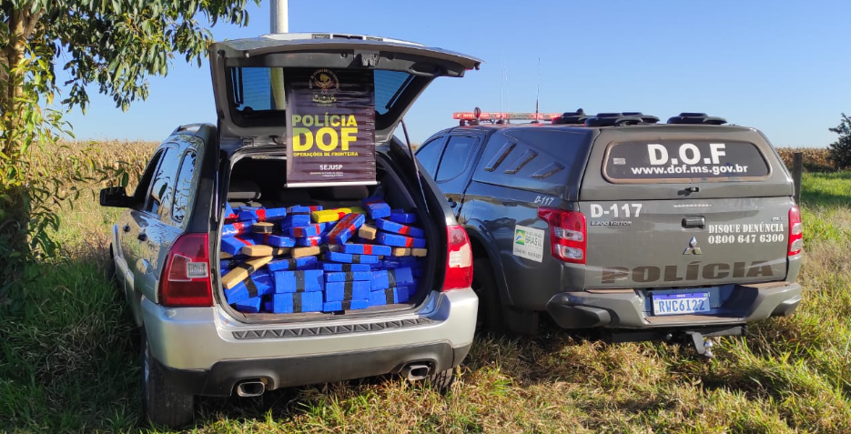 Homem vem de Santa Catarina, pega drogas no Paraguai e é preso pelo DOF