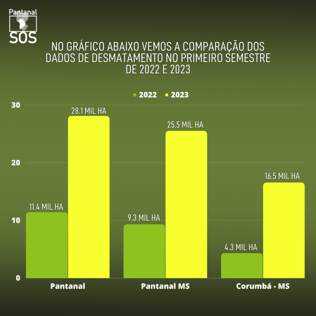 Nem chuvarada do primeiro semestre freou os desmatamentos do Pantanal Nem chuvarada do primeiro semestre freou os desmatamentos do Pantanal
