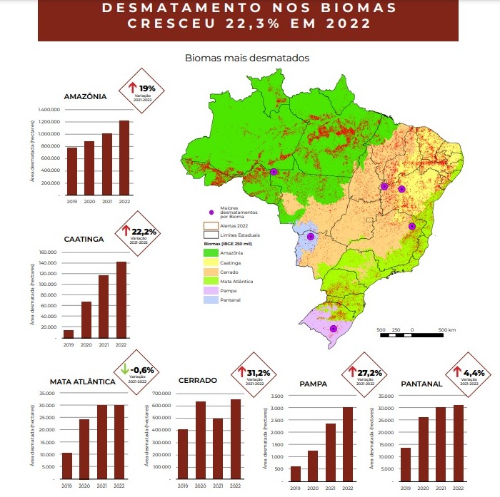 Governo rebate críticas e vê normalidade em desmatamentos do Pantanal