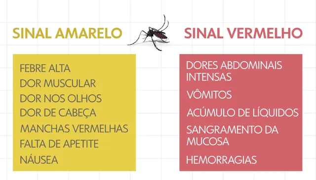 Chuva e calor: cuidados contra focos do mosquito da dengue devem ser redobrados, alerta SES Chuva e calor: cuidados contra focos do mosquito da dengue devem ser redobrados, alerta SES
