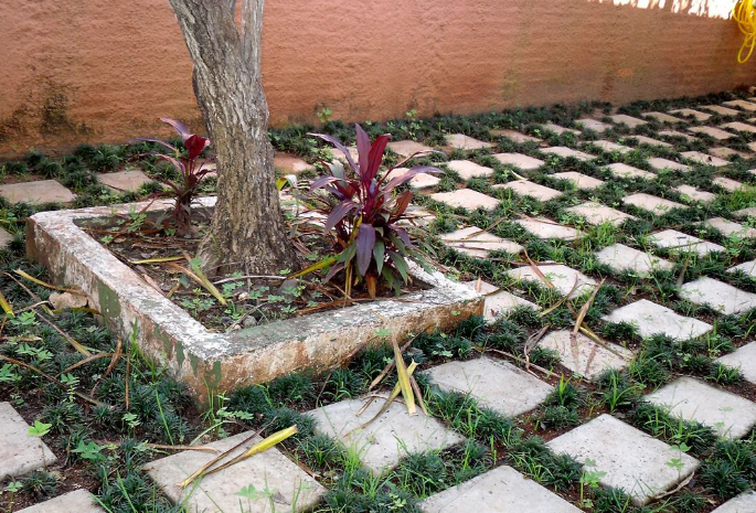 Vereadora Cida Farias propõe criação de calçadas ecológicas em Amambai Vereadora Cida Farias propõe criação de calçadas ecológicas em Amambai