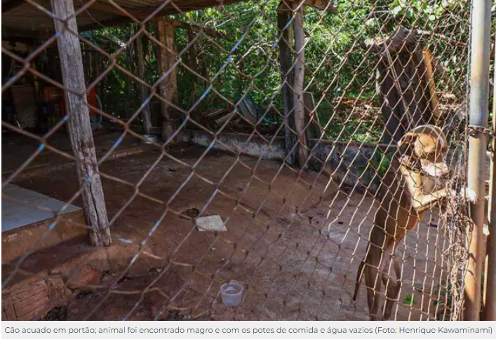 Vizinhança denuncia cão abandonado em residência Vizinhança denuncia cão abandonado em residência