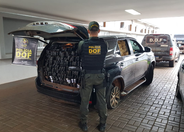 Carga milionária de maconha é apreendida veículos furtados são recuperados pelo DOF Carga milionária de maconha é apreendida veículos furtados são recuperados pelo DOF