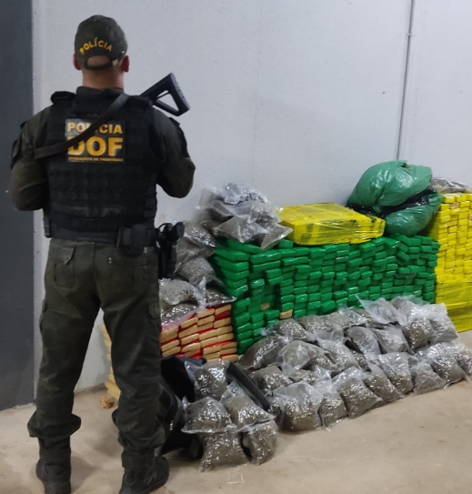 Ponta Porã: Quase meia tonelada de maconha é apreendida pelo DOF Ponta Porã: Quase meia tonelada de maconha é apreendida pelo DOF