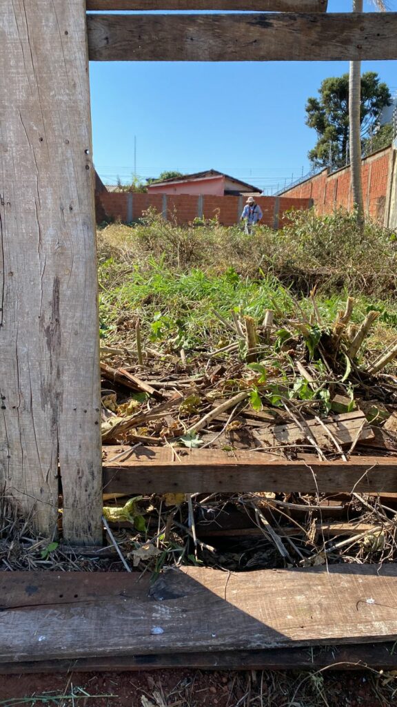 Prefeitura segue realizando limpeza de terrenos em Ponta Porã Prefeitura segue realizando limpeza de terrenos em Ponta Porã