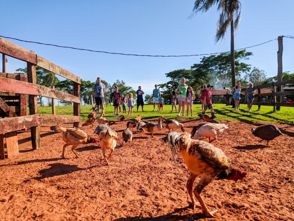 Hotel Fazenda a 190km de Ponta Porã, é destino certo para quem busca sossego e experiência no campo