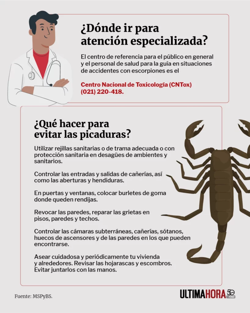 Telas metálicas y pronta asistencia, entre las recomendaciones para la picadura de alacrán Telas metálicas y pronta asistencia, entre las recomendaciones para la picadura de alacrán