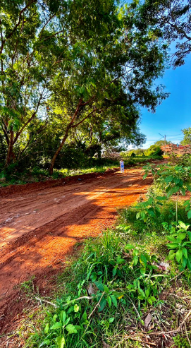 Vereadora Cida Farias solicita melhorias de Infraestrutura em Amambai Vereadora Cida Farias solicita melhorias de Infraestrutura em Amambai