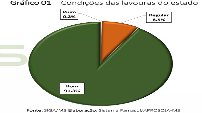 MS fecha 3ª semana de novembro com 91% das lavouras de soja em bom estado MS fecha 3ª semana de novembro com 91% das lavouras de soja em bom estado