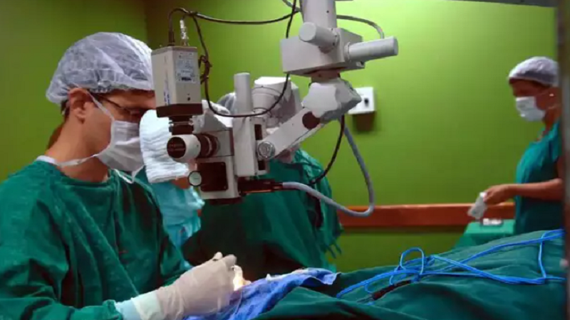 MS poderá fazer o primeiro transplante de fígado em 2024 MS poderá fazer o primeiro transplante de fígado em 2024