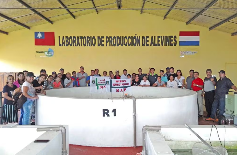 Pequeños productores acuícolas se alistan para exportar tilapia a Chile