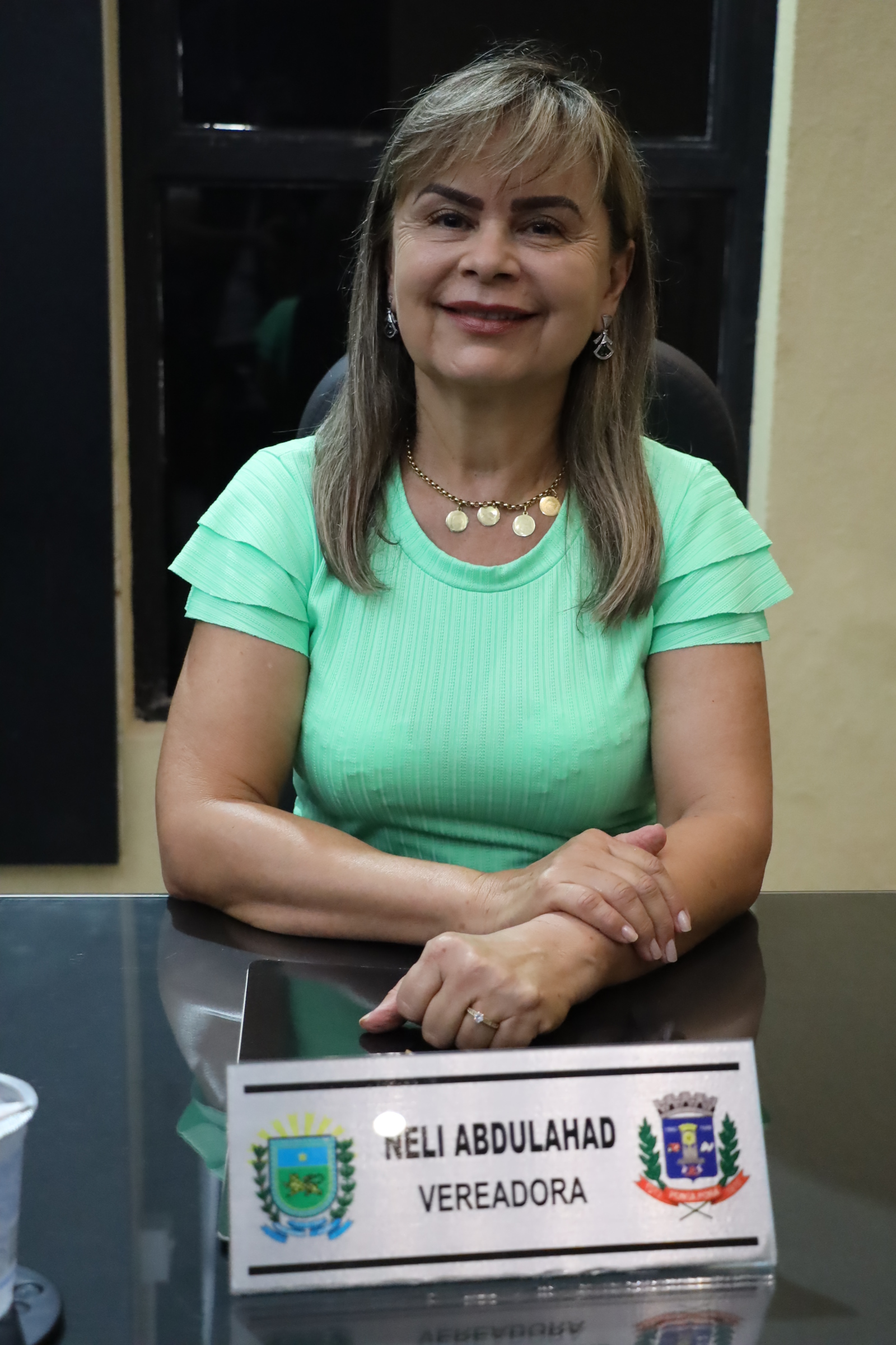 Câmara de Ponta Porã inicia semana votando três projetos Câmara de Ponta Porã inicia semana votando três projetos