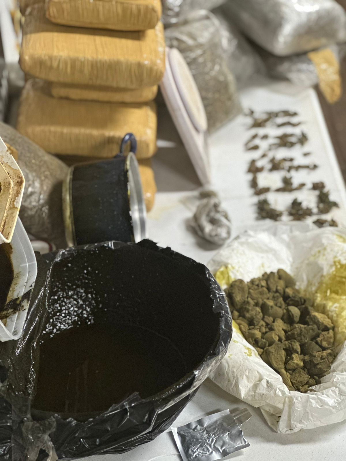 Polícia desarticula laboratório de haxixe em Ponta Porã