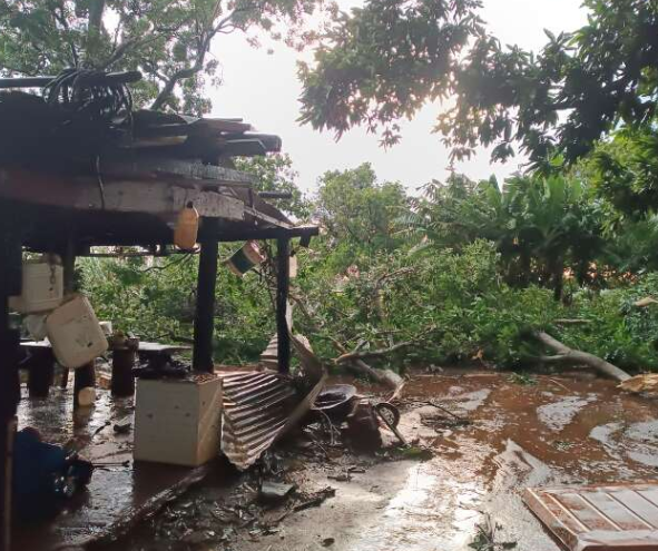 Temporal destrói casas e derruba árvores no distrito de Quebra Coco Temporal destrói casas e derruba árvores no distrito de Quebra Coco