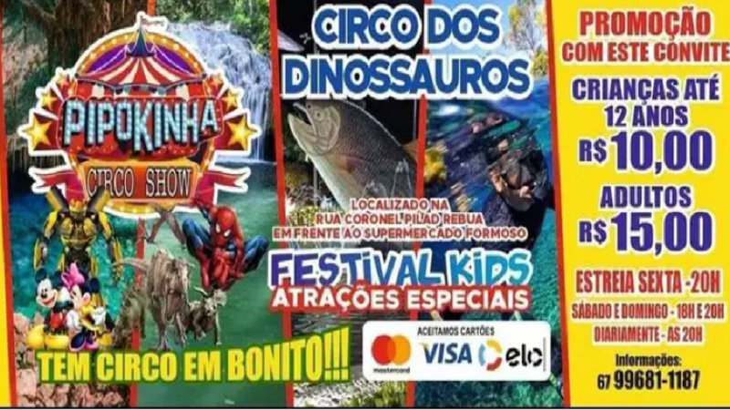 Circo é “barrado” pela prefeitura e moradores se revoltam em Bonito Circo é “barrado” pela prefeitura e moradores se revoltam em Bonito