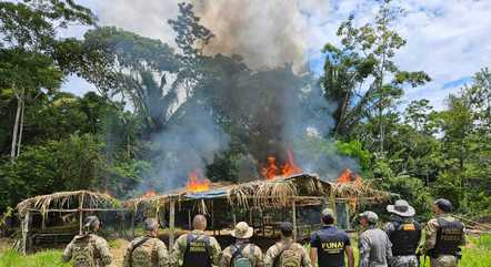 operacao-da-pf-funai-e-forcas-armadas-em-invasao-de-terra-indigena-em-ro-28012024130849435