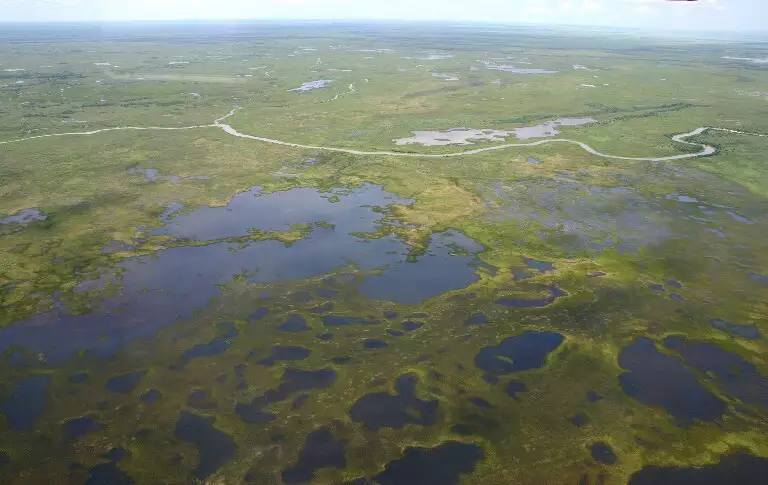 Lei do Pantanal passará a valer no dia 18 de fevereiro já com regulamentação