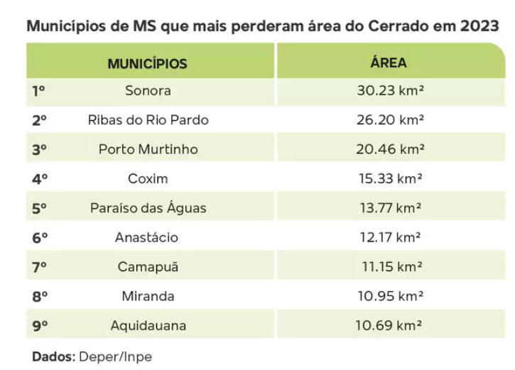 Maior que alta nacional, desmatamento no Cerrado em MS cresceu quase 50% Maior que alta nacional, desmatamento no Cerrado em MS cresceu quase 50%