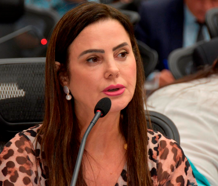 Ordem do Dia: Cidadania para a mulher ocupante de cargo público é aprovada em 1ª Ordem do Dia: Cidadania para a mulher ocupante de cargo público é aprovada em 1ª