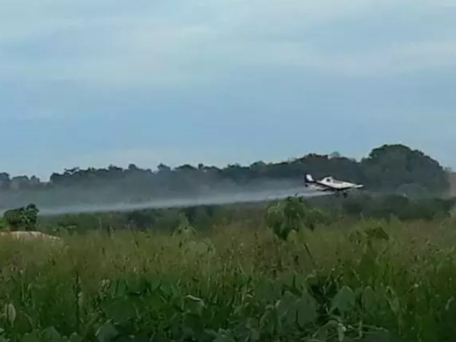 Conselho Indigenista Missionário denuncia ‘banho de agrotóxico’ em aldeia de MS Conselho Indigenista Missionário denuncia ‘banho de agrotóxico’ em aldeia de MS