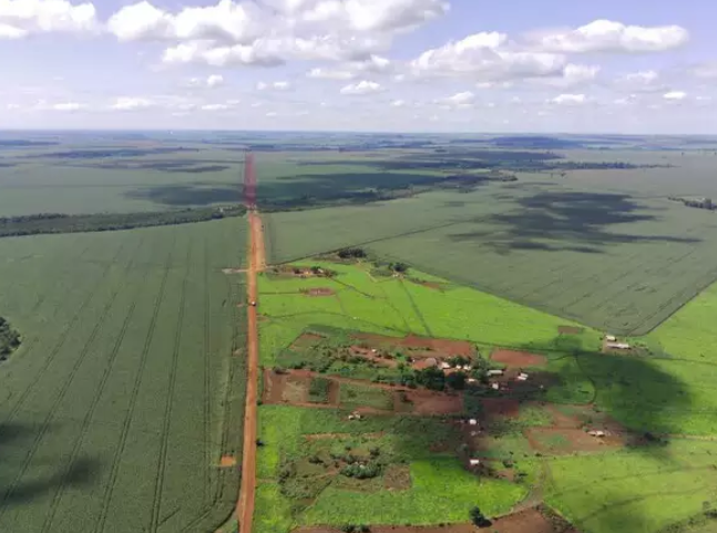 Conselho Indigenista Missionário denuncia ‘banho de agrotóxico’ em aldeia de MS Conselho Indigenista Missionário denuncia ‘banho de agrotóxico’ em aldeia de MS